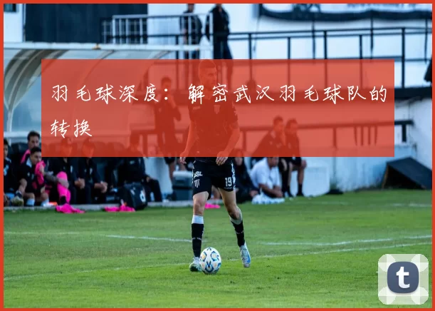 羽毛球深度：解密武汉羽毛球队的转换