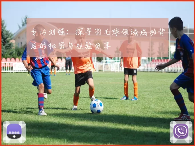 专访刘强：探寻羽毛球领域成功背后的秘密与经验分享