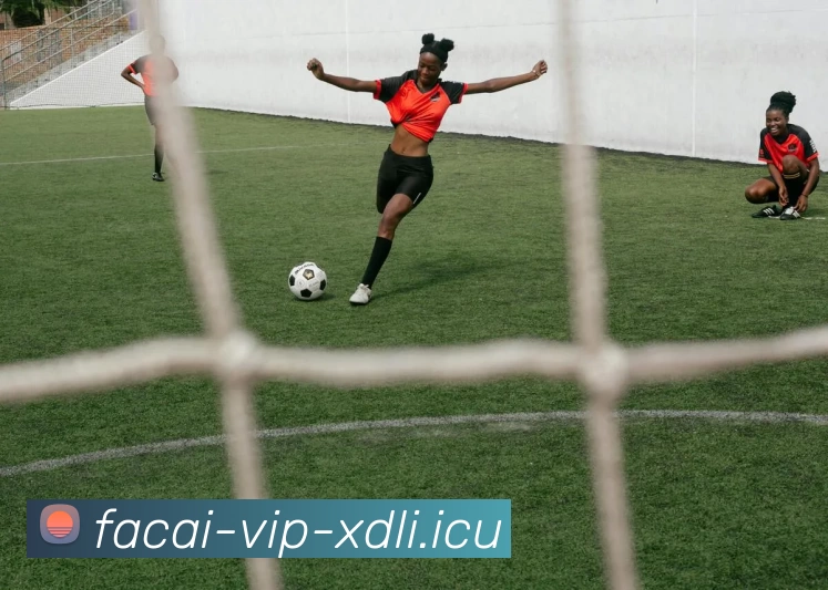 爱游戏体育APP 封面图